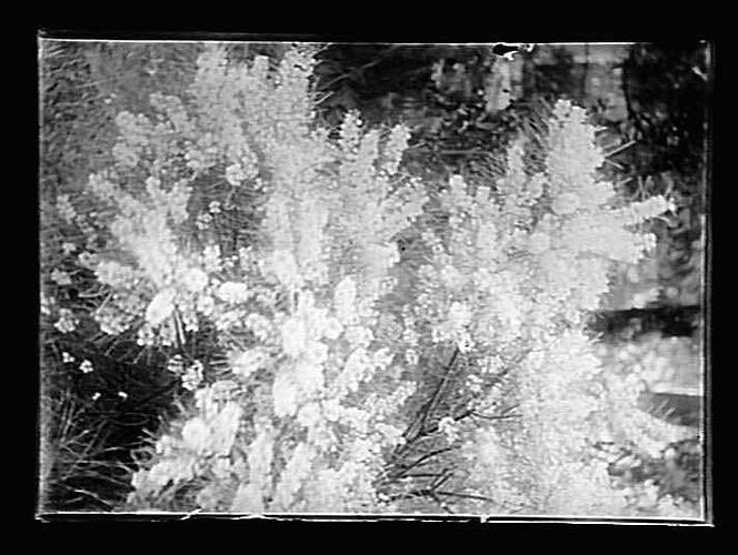 Negative - Glass