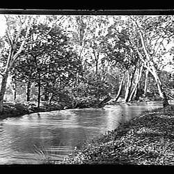 Glass Negative - Creek, by A.J. Campbell, Gardiner's Creek, Victoria, 1891