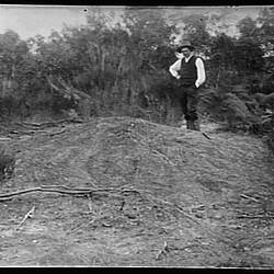 Glass Negative - Man Standing on Mallee Fowl Mound, by A.J. Campbell, Mallee, Victoria, circa 1895