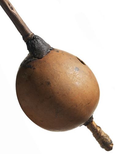 Toy, Cairns, Rainforest, Queensland, Australia, 1840-1900
