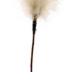 Ornament, unidentified, Australia, Kimberley
