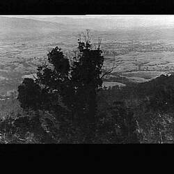 Photograph - by Jack Walton, Brown Mount, New South Wales, circa 1920s-1930s