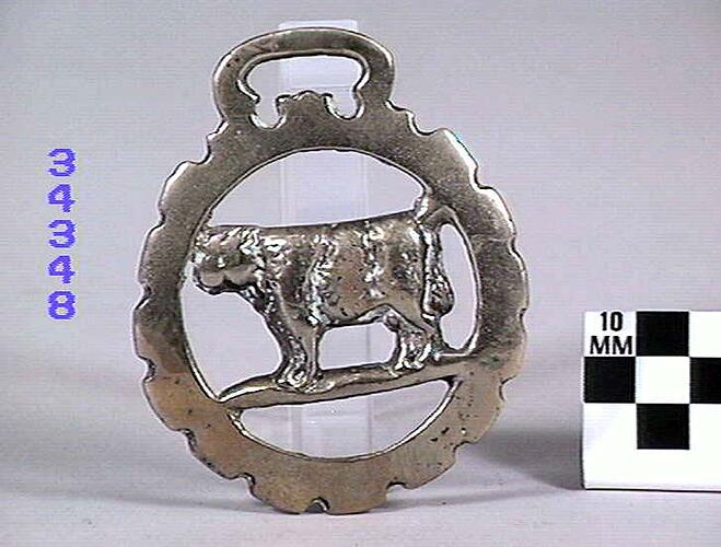 Horse Brass