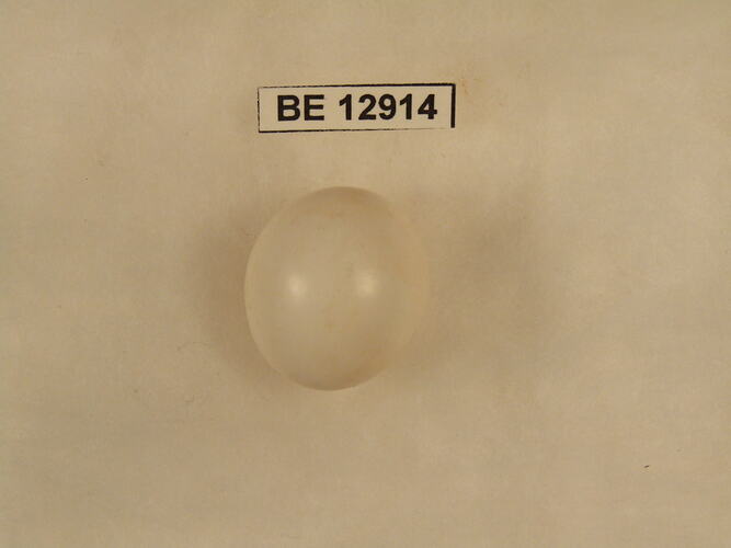 Bird egg with specimen label.