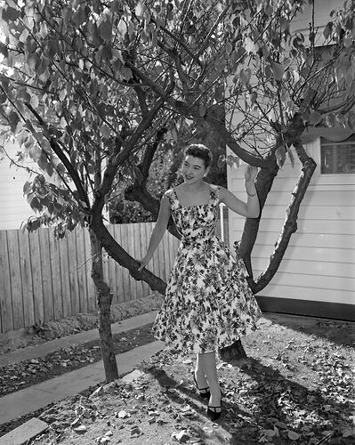 Ladies Fashion, Model Standing by a Tree, Victoria, 12 May 1959