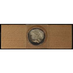 Underside of wooden microslide containing bryozoan specimen,