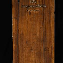 Timber Sample - Black Sallee, Eucalyptus stellulata, Victoria, 1885