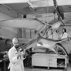 Pterosaur models