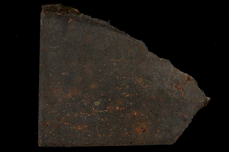 Tsarev Meteorite. [E 12151]