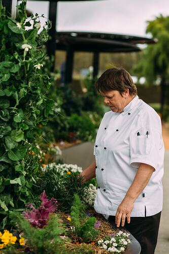 Chef standing next to raised vegetable garden.