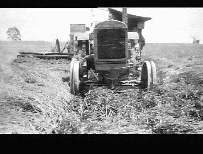 C & Y BRADFORDS HEADER IN A CROP YIELDING 14 BAGS PER ACRE AT NUBBA N.S.W.