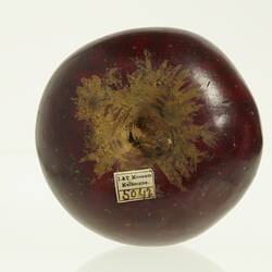 Dark red apple model. Brown in centre. Top view with stem and label.