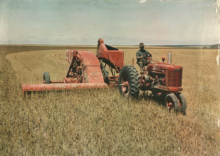 Red header harvester being driven in field.