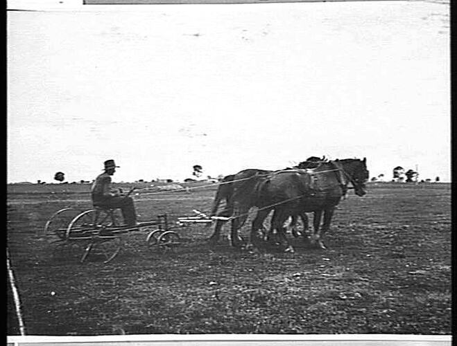`SUNPALM' CULTIVATOR AT WORK AT MR. J. BANCROFT'S FARM, LAWRENCE, NORTH COAST, N.S.W.: JUNE 1932