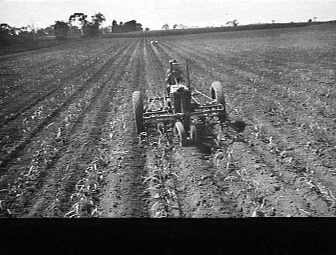 Photograph - H. V. McKay factory and/or equipment
