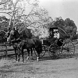 Negative - McCallum Family in Horse-Drawn Buggy at Willenabrina, Victoria, 1900