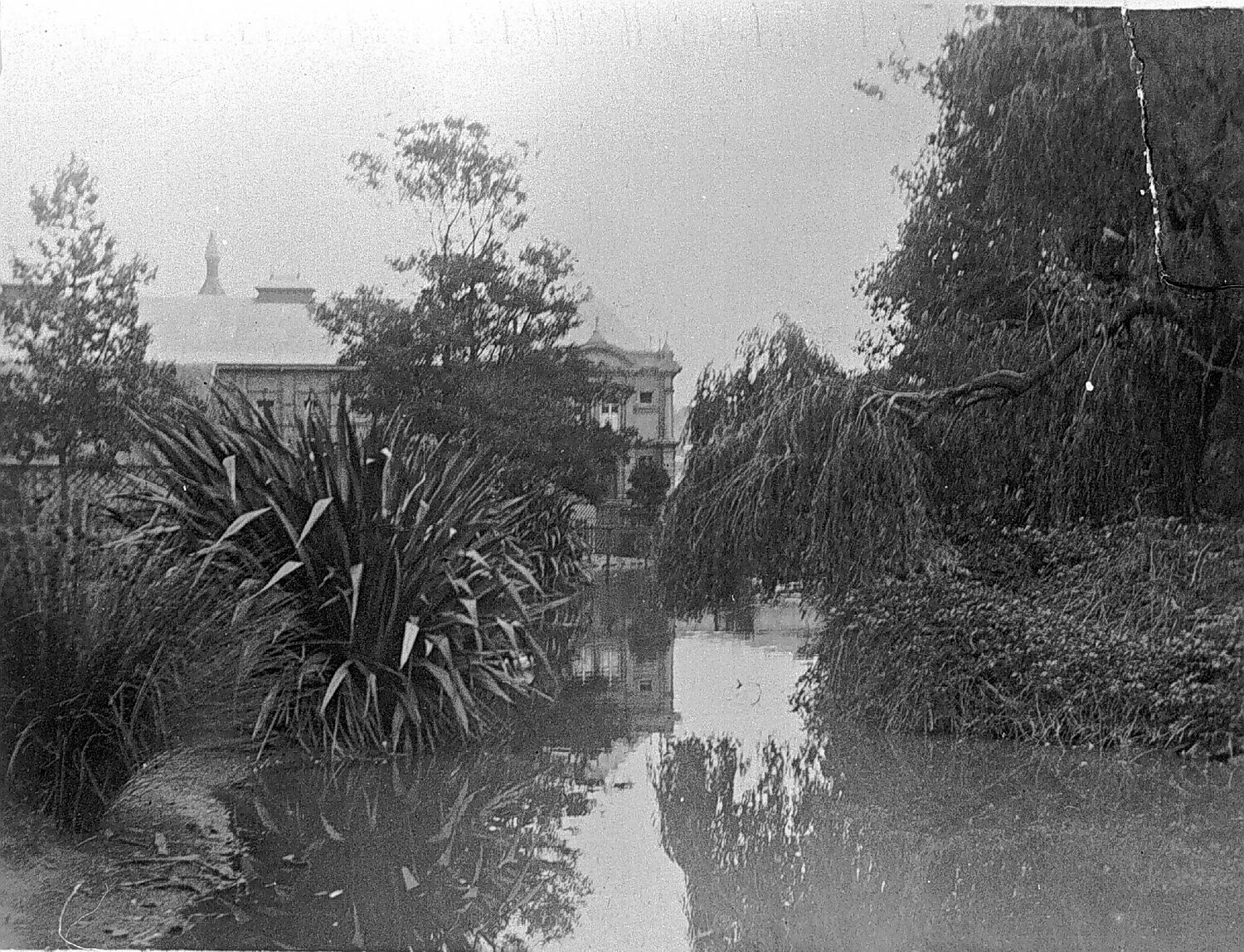 negative-launceston-tasmania-circa-1900