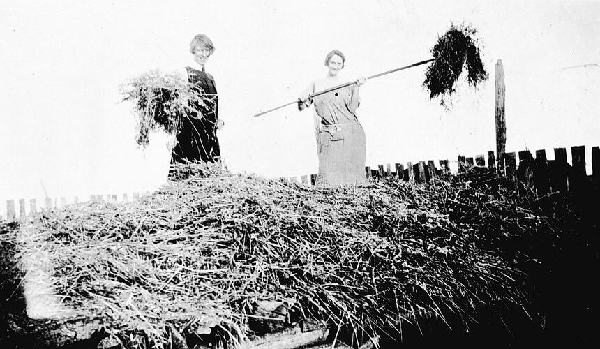 [Pitching hay, Wando Vale, near Casterton, about 1920.]
