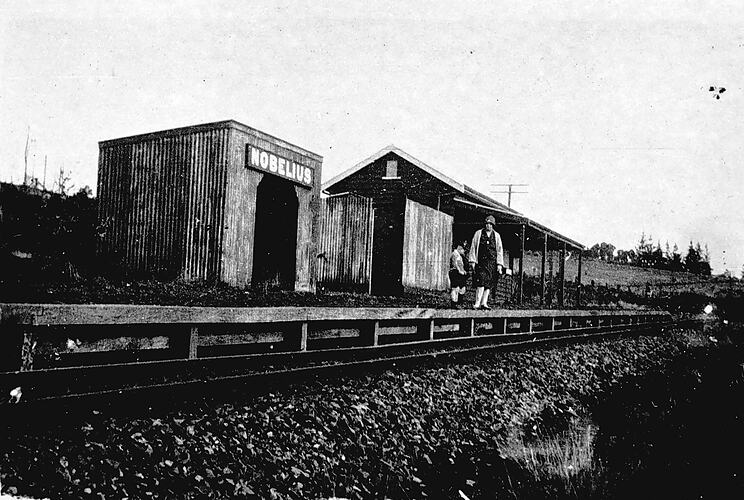 Passengers at Nobelius Station, circa 1920.