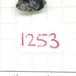 HR Uhlherr Tektite Collection Number: 1253-1