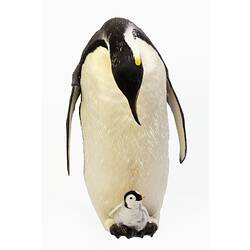 Mounted adult penguin specimen looking down at a small chick resting on its feet.