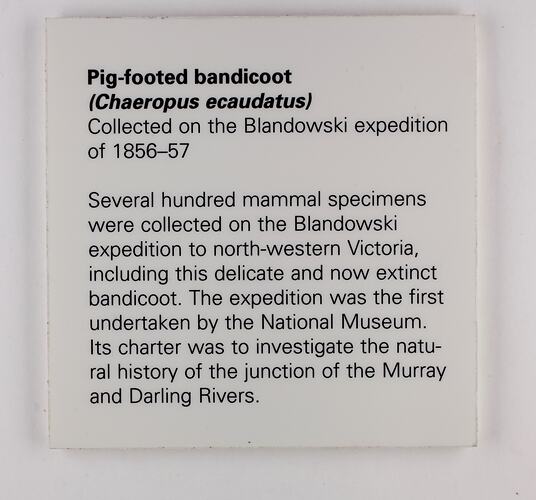 White square label with black text.