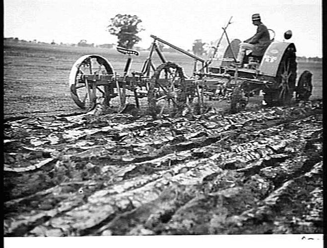 NOS 3, 4 & 5. TAKEN AT MR. J. RESSTOULE'S, BERRIGAN BY MR. GILLESPIE. AUGUST 1926