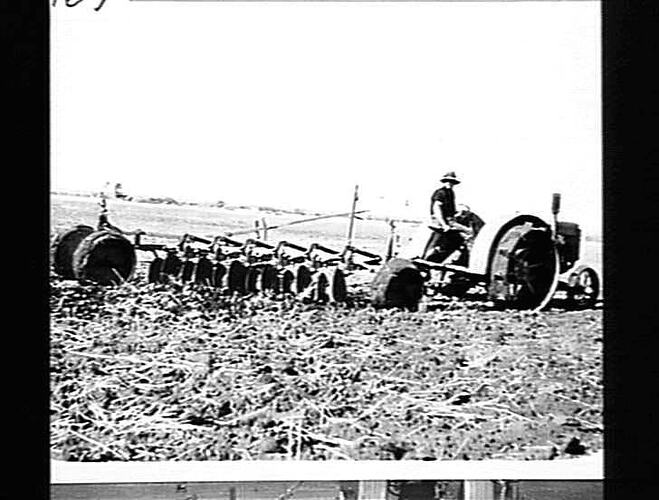 NOS 3, 4, 5, 6, 7, 8, 9 & 10. SCRUB PLOW ON MR J. JARRUS' FARM. TRAYNING W.A. OCT 1928.