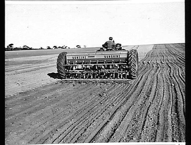 MR. J.W. ANDERSON OF HOPETOUN IN THE VICTORIAN MALLEE, SOWING WHEAT WITH HIS 16-ROW 500 SERIES `SUNTYNE' CULTIVATING DRILL AND SUNSHINE MASSEY HARRIS 745 DIESEL TRACTOR: JUNE 1955