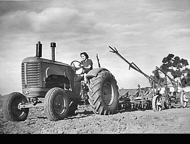 Photograph - H.V. McKay Massey Harris, Farm Equipment Manufacture ...