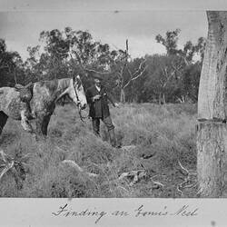 Photograph - Finding an Emu's Nest, by A.J. Campbell, Victoria, 1895