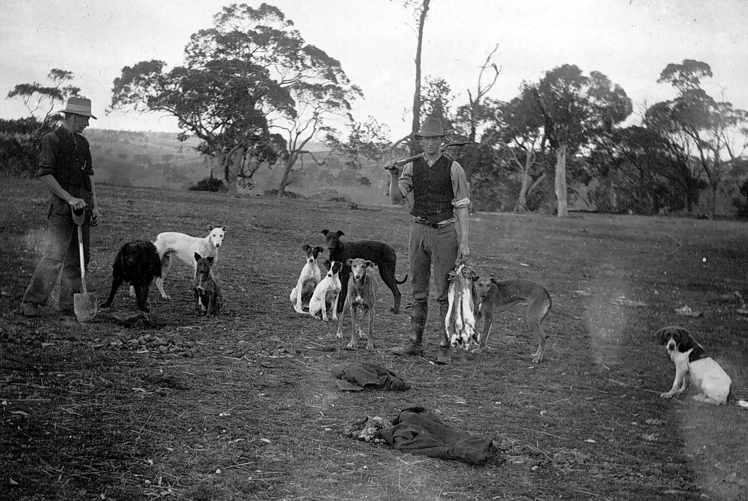 Negative Hunting Rabbits, Nareen District, Victoria, circa 1922