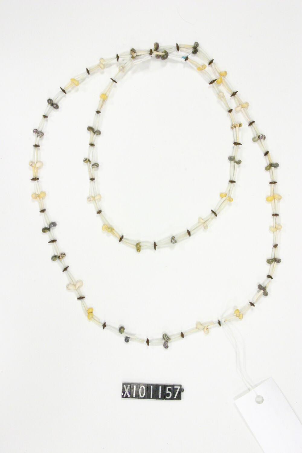 Ornament, neck. Burarra, Martay. Maningrida, Central Arnhem Land