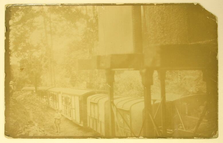 Railway carriages in forest setting.