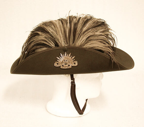 Brown wide brimmed hat with badge and feathers.