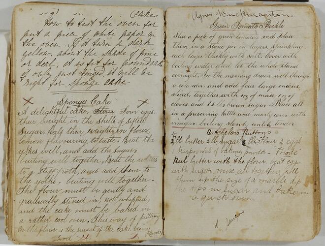 Old recipe/remedy book handwritten