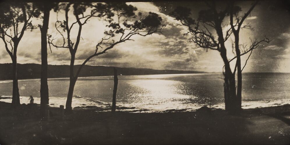 Photograph - Moonlight Over The Bay, Lorne, Victoria, circa 1920s