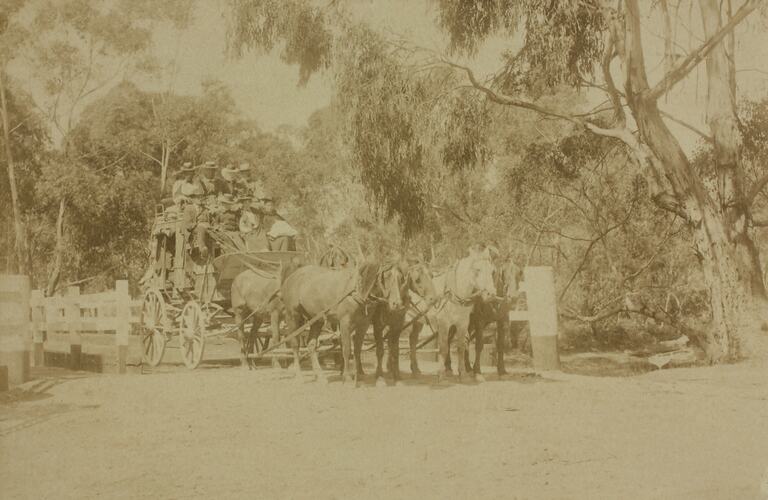 Photograph - Horse Drawn Coach