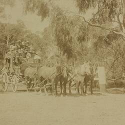 Photograph - Horse Drawn Coach