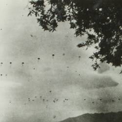 Large group of parachutes in the air, tree in top right.