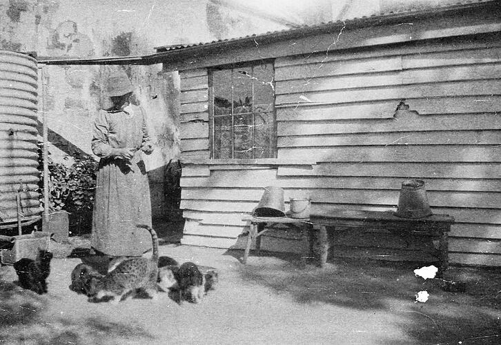 Woman feeding cats outside a laundry. Water tank at left.