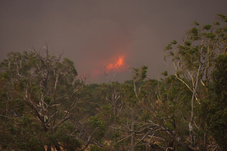 Digital Photograph - 'Fire in Sugarloaf', Black Saturday Bushfires, Arthurs Creek, Victoria, 7 Feb 2009