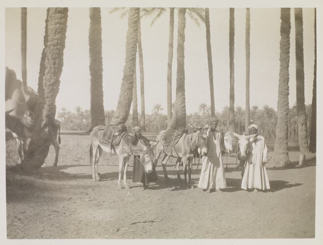 End of Sakara Trip, Egypt, Captain Edward Albert McKenna, World War I, 1914-1915