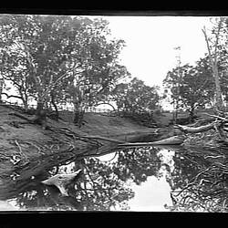 Glass Negative - River, by A.J. Campbell, Neimur River, New South Wales, 1890-1915