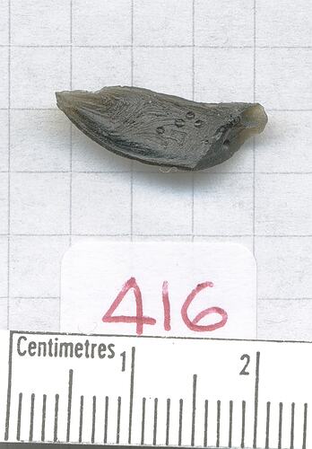 Canoe-shaped tektite.