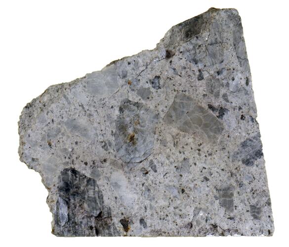 Slice of meteorite specimen.