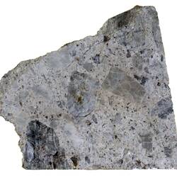 Slice of meteorite specimen.