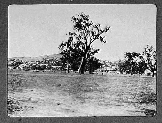 Photograph - by Jack Walton, Gundagai, New South Wales, circa 1920s-1930s