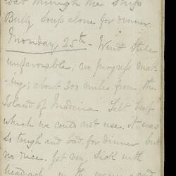 Open diary with handwritten text on discoloured worn page.