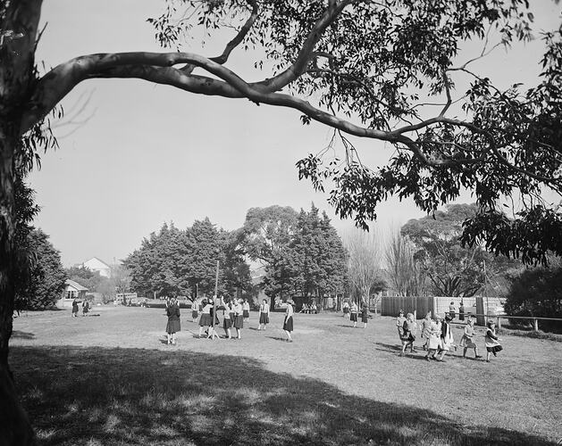 Mentone Grammar School, School Grounds, Mentone, Victoria, 19 Aug 1959